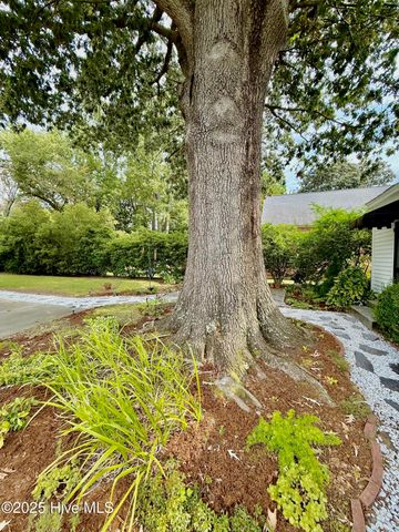 3340 North Green Street, Farmville, NC 27828