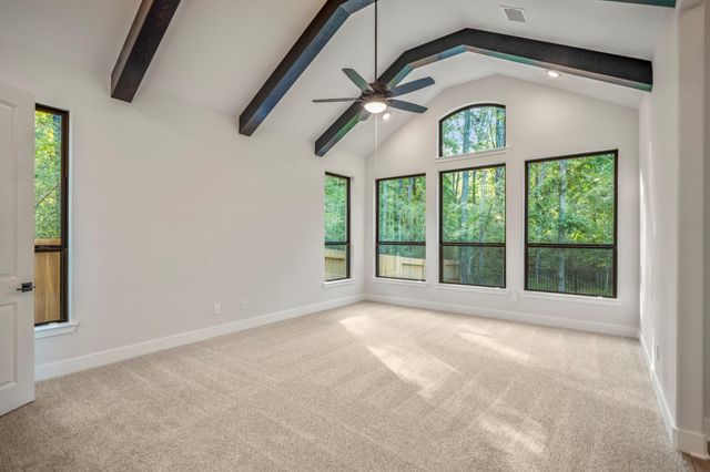 209 Lilac Tree Court, Willis, TX 77318