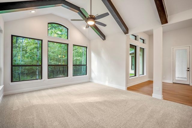 209 Lilac Tree Court, Willis, TX 77318