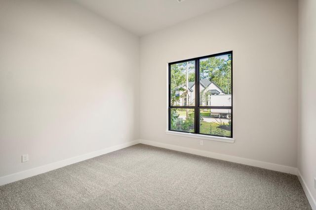 209 Lilac Tree Court, Willis, TX 77318