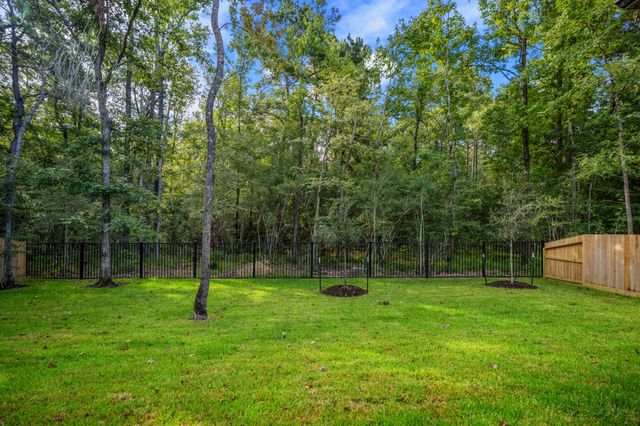 209 Lilac Tree Court, Willis, TX 77318