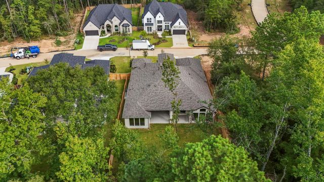 209 Lilac Tree Court, Willis, TX 77318