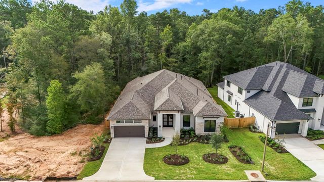 209 Lilac Tree Court, Willis, TX 77318