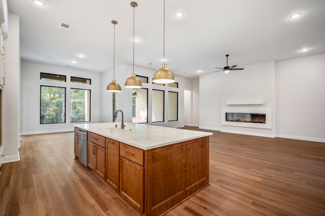 209 Lilac Tree Court, Willis, TX 77318