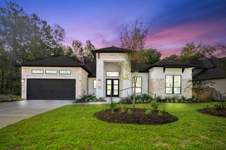 209 Lilac Tree Court, Willis, TX 77318