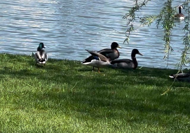 220 Gatehouse Court, Monroe, OH 45050