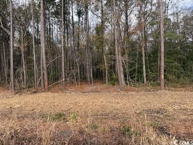 19.09 Acs Kates Bay Hwy., Conway, SC 29527