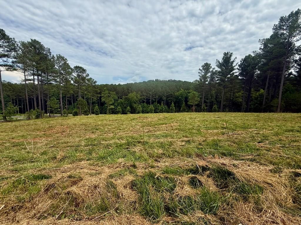 0 Stables Loop, Blairsville, GA 30512