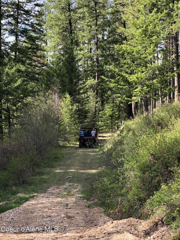 NNA CDA River Rd/McPhee Gulch, Kingston, ID 83839 photo 5