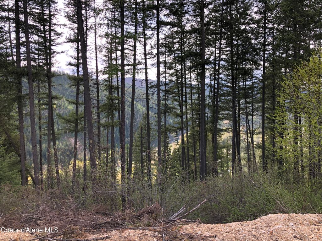 NNA CDA River Rd/McPhee Gulch, Kingston, ID 83839 photo 6