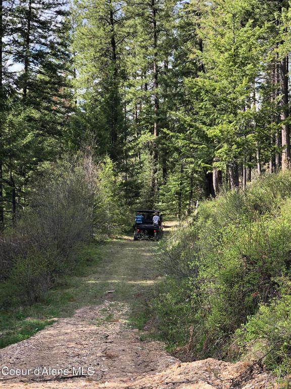 NNA CDA River Rd/McPhee Gulch, Kingston, ID 83839 photo 9