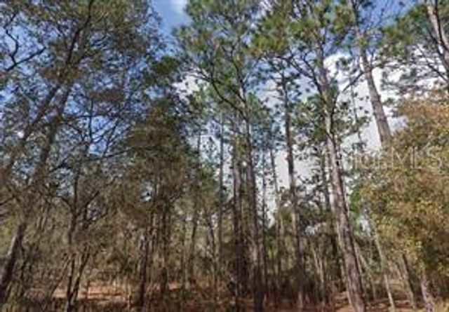 AKRON STREET, Interlachen, FL 32148