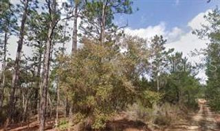 AKRON STREET, Interlachen, FL 32148