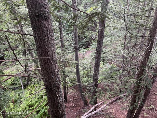 2256 Hoodoo Mountain Rd, Priest River, ID 83856