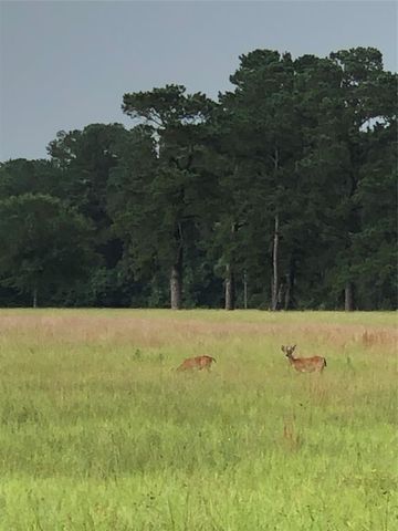 0000 Kimberly Trace, Conroe, TX 77304