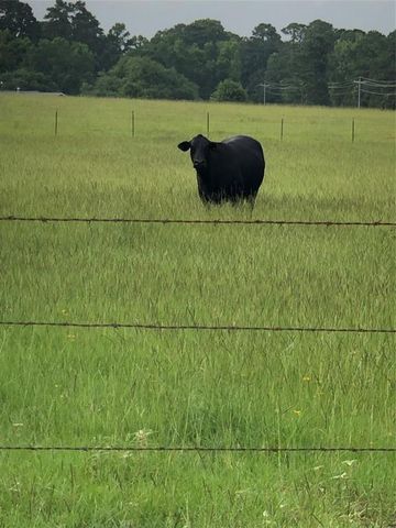 0000 Kimberly Trace, Conroe, TX 77304