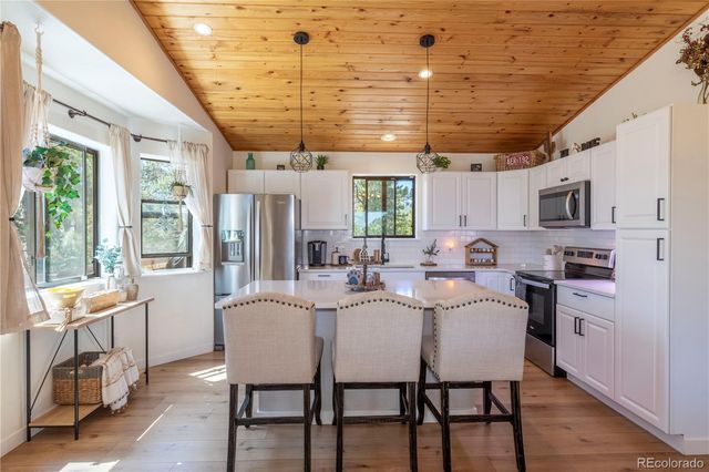 51 Schooley Road, Bailey, CO 80421