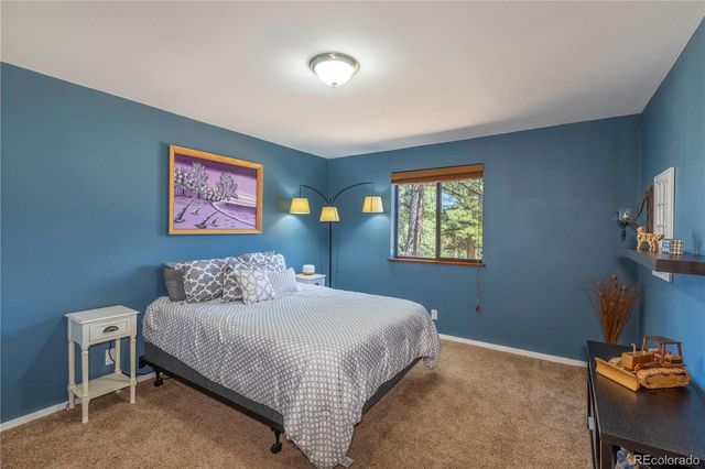 51 Schooley Road, Bailey, CO 80421