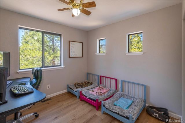 51 Schooley Road, Bailey, CO 80421