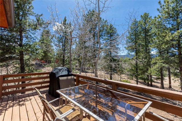 51 Schooley Road, Bailey, CO 80421