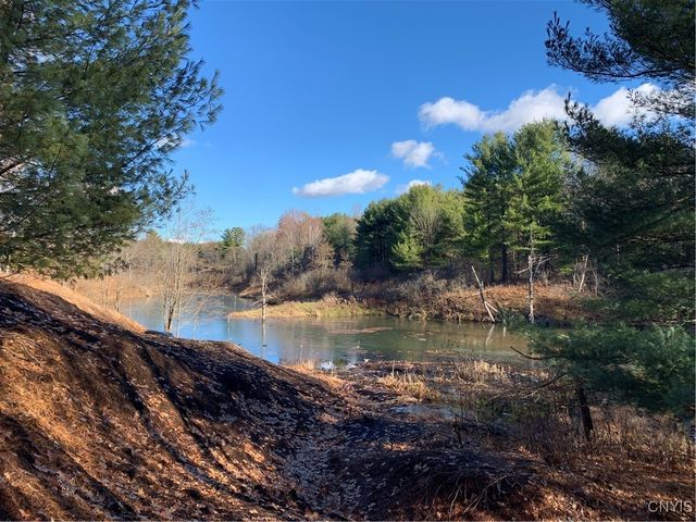 23610 Fetterly Road, Brownville, NY 13634