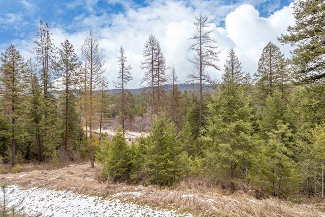 32410 N Ridge Rd, Chattaroy, WA 99003