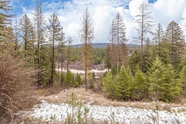 32410 N Ridge Rd, Chattaroy, WA 99003