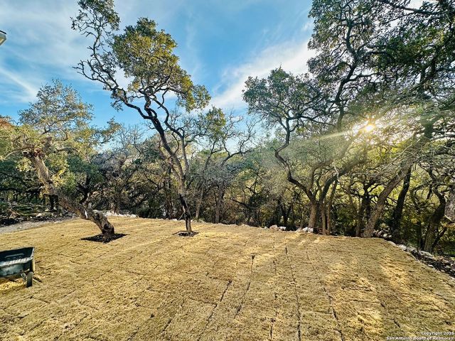 1064 OVERBROOK LN, Spring Branch, TX 78070