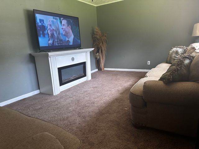 205 Locust Dr, Erin, TN 37061