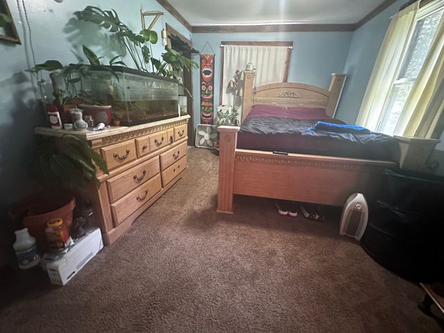 205 Locust Dr, Erin, TN 37061