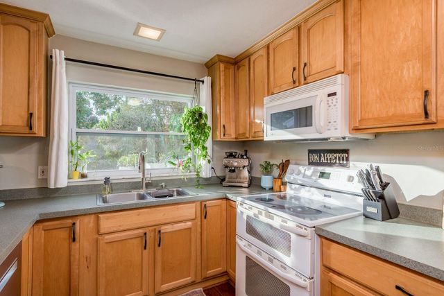 3928 ORCHARD HILL CIRCLE, Palm Harbor, FL 34684