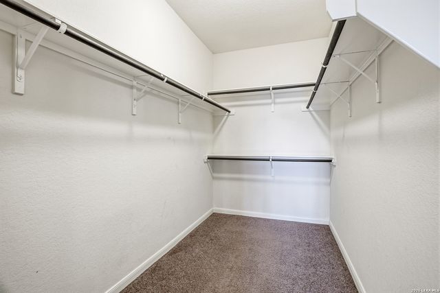 22915 Carriage Bush, San Antonio, TX 78261