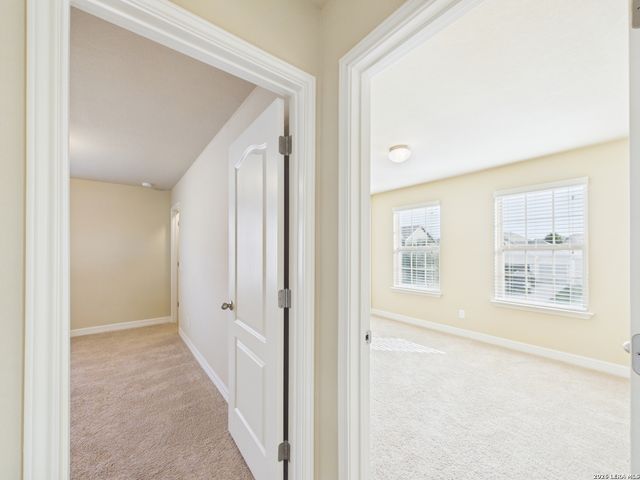 329 Green Heron, New Braunfels, TX 78130