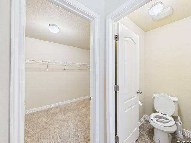 329 Green Heron, New Braunfels, TX 78130