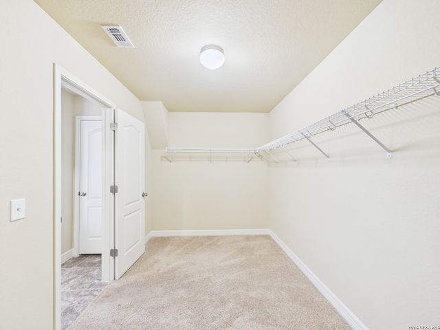 329 Green Heron, New Braunfels, TX 78130