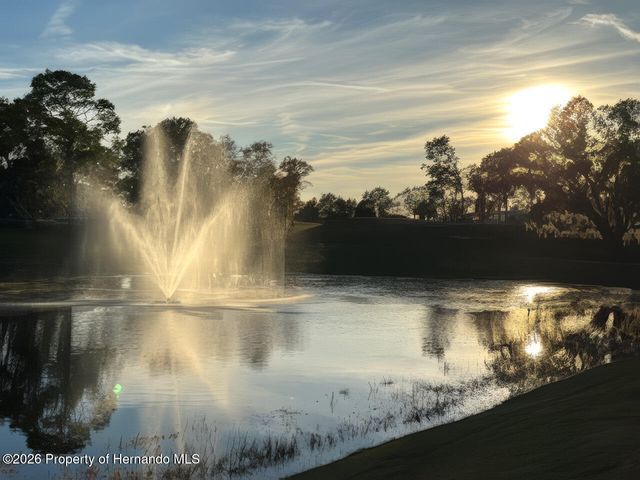 9020 Penelope Drive, Weeki Wachee, FL 34613