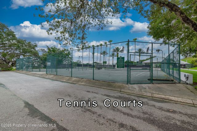 9020 Penelope Drive, Weeki Wachee, FL 34613