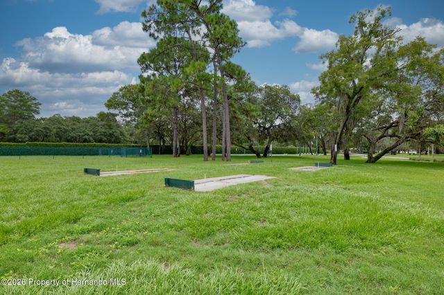 9020 Penelope Drive, Weeki Wachee, FL 34613