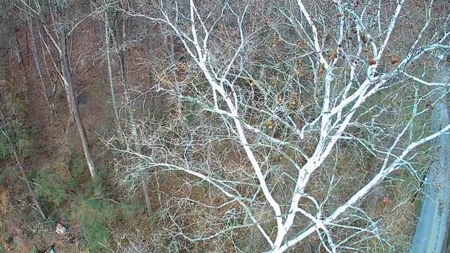 8815 Gann Road 4, Soddy Daisy, TN 37379