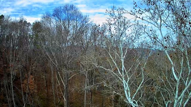 8815 Gann Road 4, Soddy Daisy, TN 37379