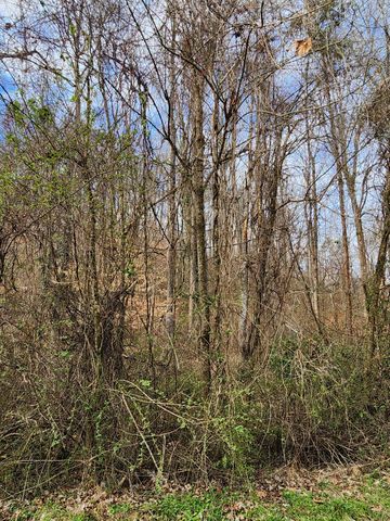 8815 Gann Road 4, Soddy Daisy, TN 37379