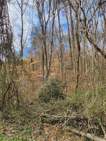 8815 Gann Road 4, Soddy Daisy, TN 37379