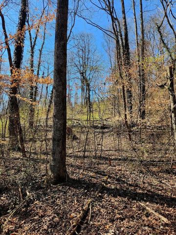 8815 Gann Road 4, Soddy Daisy, TN 37379