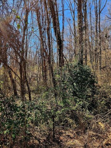 8815 Gann Road 4, Soddy Daisy, TN 37379