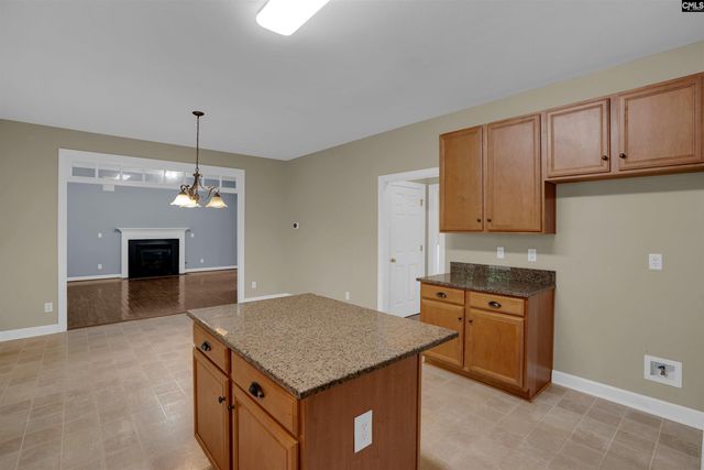205 Winterberry Loop, Lexington, SC 29072