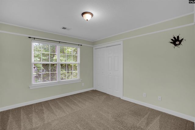 205 Winterberry Loop, Lexington, SC 29072