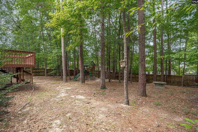 205 Winterberry Loop, Lexington, SC 29072