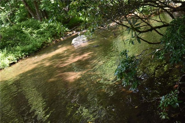 2632 Big Creek Rd, Cherry Log, GA 30522