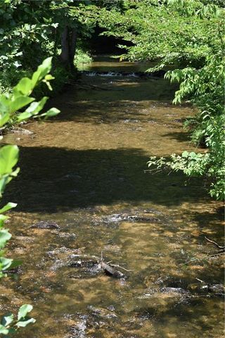 2632 Big Creek Rd, Cherry Log, GA 30522