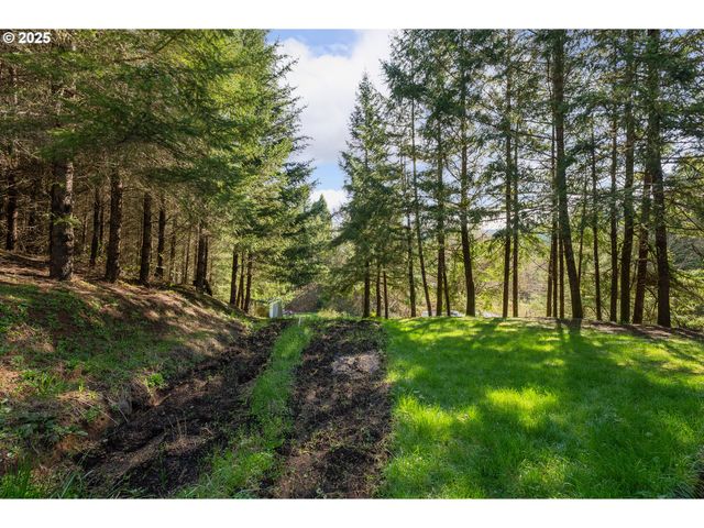 4868 UMPQUA HIGHWAY 99, Drain, OR 97435